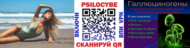 Псилоцибиновые грибы Psilocybe  Купить закладки  Жуков 