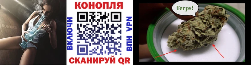 Купить закладки  Жуков  Бошки Шишки White Widow 